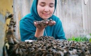 Желающих приглашают принять участие в фотоконкурсе, связанном с пчеловодством