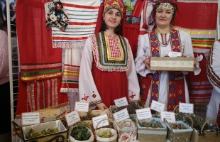 В Республике прошел фольклорный праздник мордовской культуры