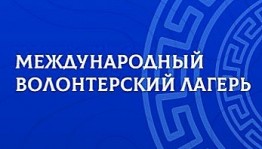 Первый Международный волонтёрский лагерь пройдёт 13 -14 ноября в онлайн-формате