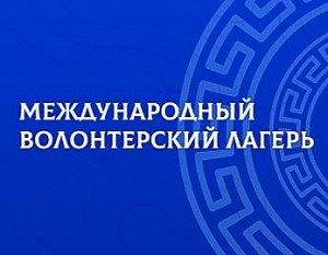 Первый Международный волонтёрский лагерь пройдёт 13 -14 ноября в онлайн-формате