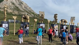 Прямо сейчас у подножия шихана Торатау проходит "Торатау Йыйыны"