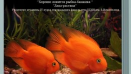 Студенты УГИИ им. З.Исмагилова представляют спектакль по рассказам Д.Сэлинджера