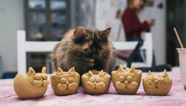 Посетите мастер-классы Юлии Ларц по керамике
