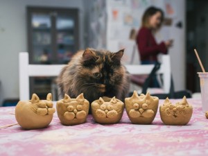 Посетите мастер-классы Юлии Ларц по керамике